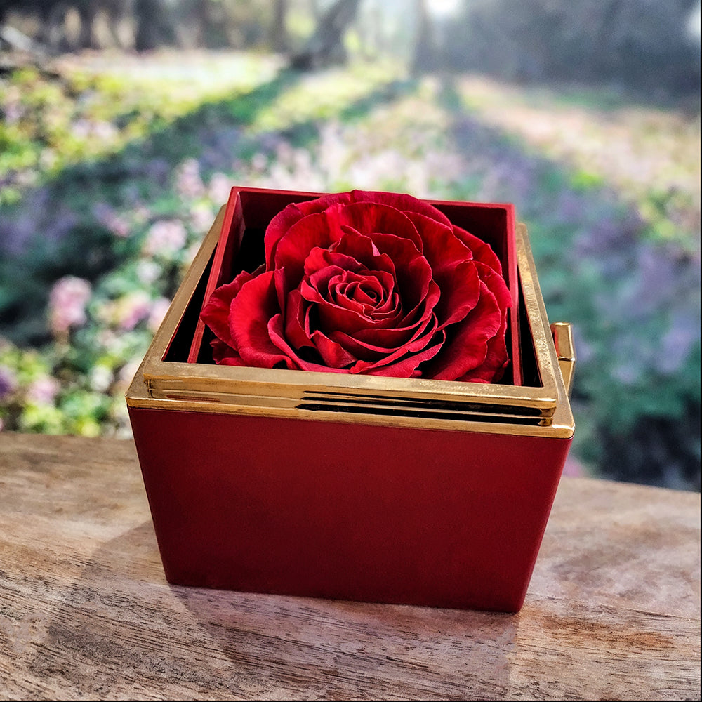 Mother & Daughter Love Knot Necklace with Eternal Rose Box, Mother's Day Gift, Jewelry For Mom, Gift From Daughter to Mom, Keepsake Jewelry for Mother's Day